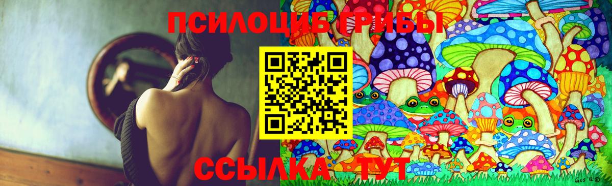 Псилоцибиновые грибы Magic Shrooms  Псилоцибиновые грибы мухоморы  Новороссийск  магазин    Вход с VPN 